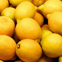 Geurolie Citrus Citronella 10ml