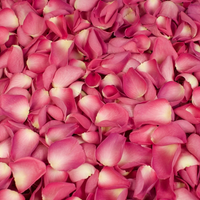 Geurolie Romantic Rose 10ml