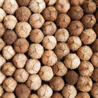 Geurolie Coconut Paradise 10ml