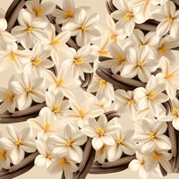 Geurolie Vanilla Cream 10ml