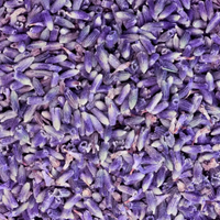 Geurolie Lavender Fields 10ml